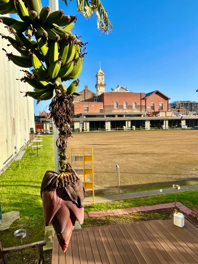 Facilities